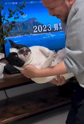 小型犬を抱える飼い主