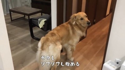 「もうそろそろ帰るはず」