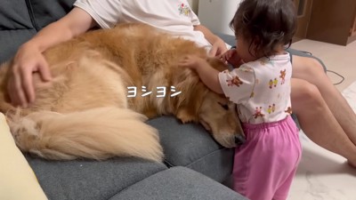 いつまでも見ていたい