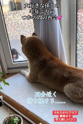 なっちゃんを待つ朔ちゃん
