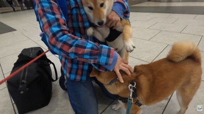 ナラちゃん&ソラくんとママの再会5