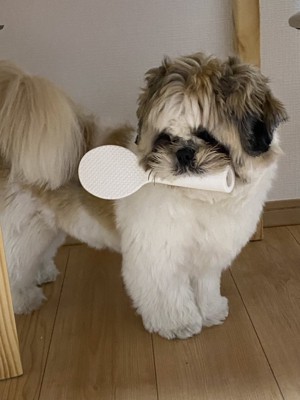 謎