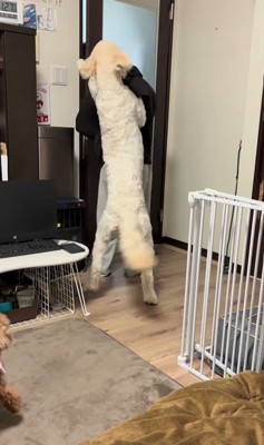 ソラちゃんの熱烈歓迎3