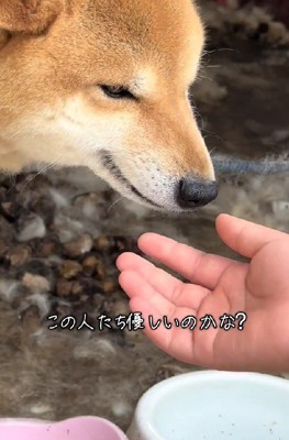 飼育放棄されていた…