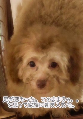 脚のトラブルを持っていた