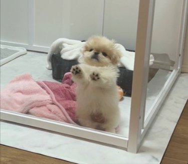閉じ込め