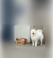 「ちゃんと届きました!」