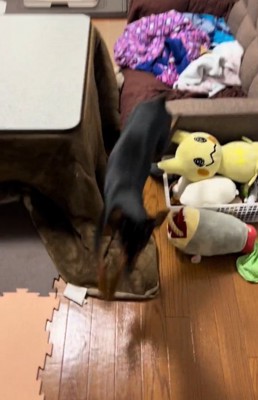 急に動き出すナツくん