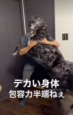 ボルゾイを受け止めるパパ
