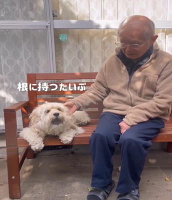 しょんぼりした犬1