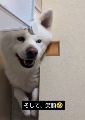 笑顔のこゆきちゃん