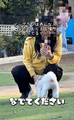 女性に撫でてもらうおもちくん