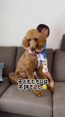 子どもに抱きしめられて笑顔の犬