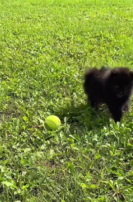 コロコロで可愛い…♡