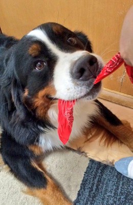 いつもほがらか♡