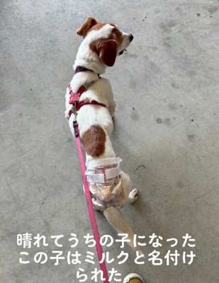 ミルクちゃんと命名♡