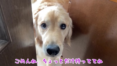 「早く帰ってね」