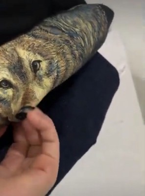 オオカミのイラストを撫でる