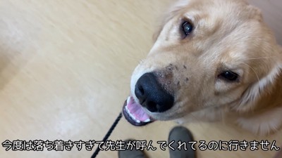 呼んでも動かなくなりました