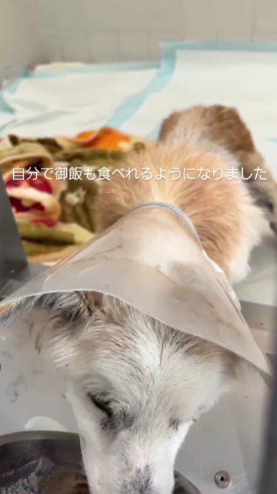 最善の医療処置がとられた