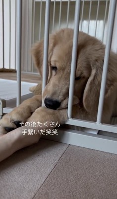 手を繋いでもらえました