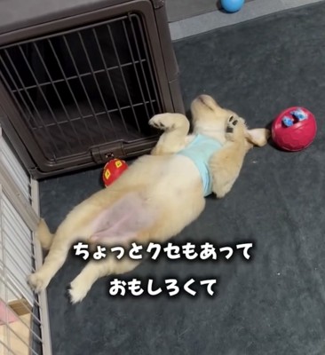 のびのびと成長