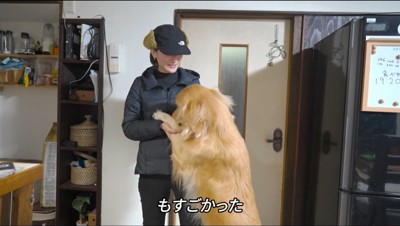 立ち上がって女性に前足を乗せる犬