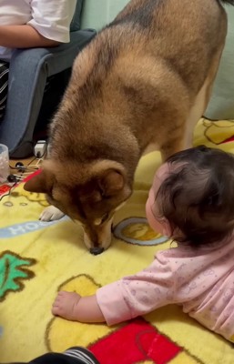 赤ちゃんが大笑い!!