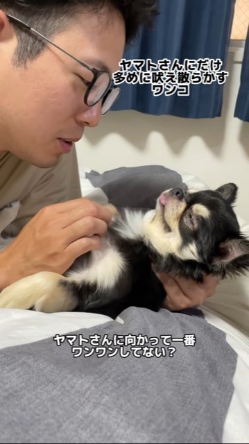 説教中に寝てしまう犬