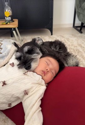 テンちゃんと赤ちゃん