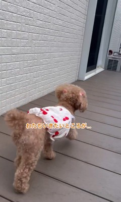 お父さんの帰りを待つティナちゃん4