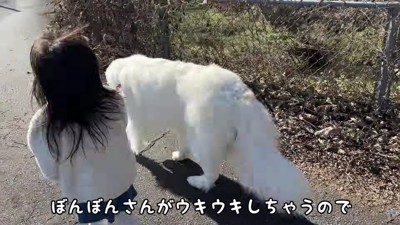 ぼんぼんちゃんがはしゃいじゃって…