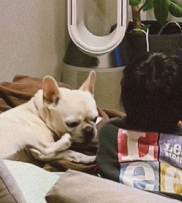 じゃれあう2人にキュン♡