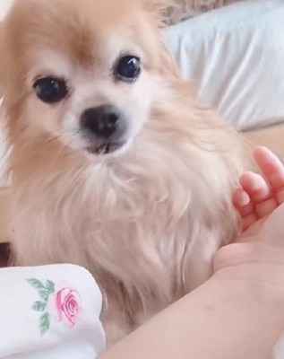 目覚まし係のれんくん