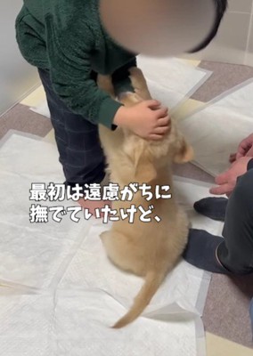 遠慮がちにナデナデ