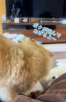 怒るキャシーちゃん