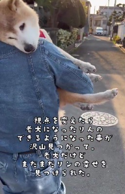 歳を取るのも悪くない