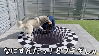 もんちゃんブチギレ！！