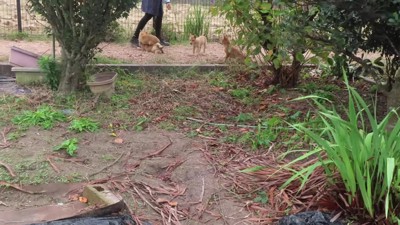 天国のような光景…♡