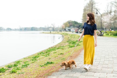 散歩している女性と犬
