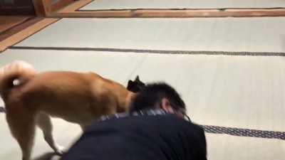 再び2人の間に割り込むももちゃん
