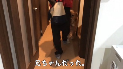 お兄ちゃんが帰ってきた