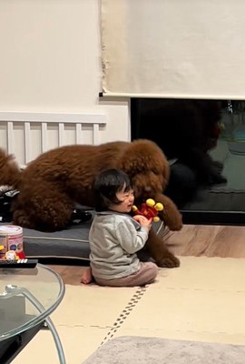 きんとん君VS男の子9