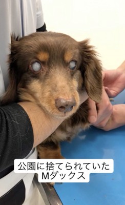 つらすぎる過去