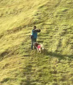 全力で回る姿にホッコリ