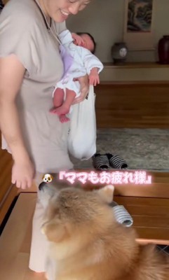 第2子との初対面