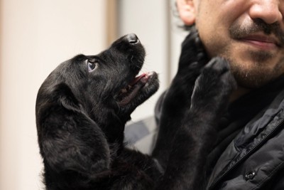 愛犬とじゃれる男性