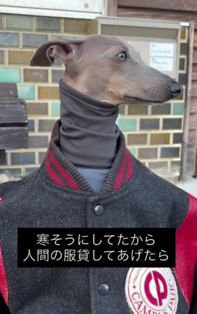 お散歩中、寒そうだったので…