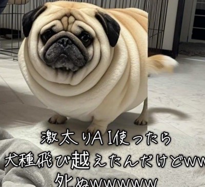 まるまると太った立派なパグ