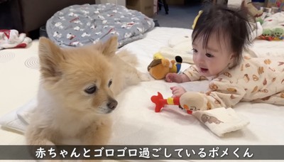 子守りも欠かさない